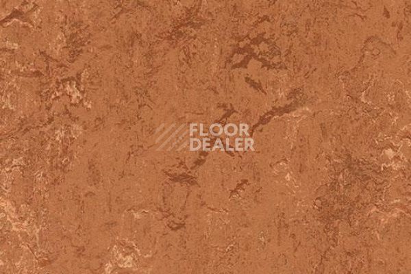 Линолеум Marmoleum Decibel on Order 276735 rust фото 1 | FLOORDEALER